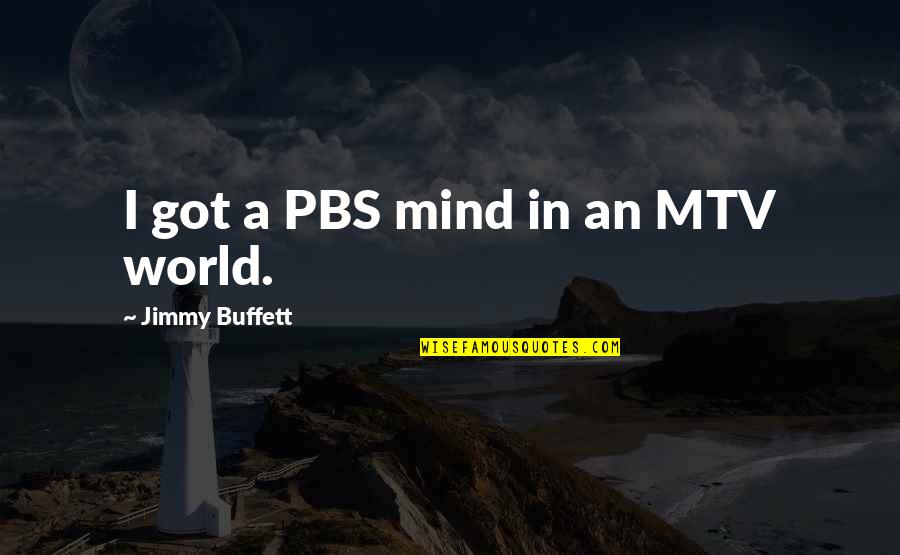 Korczak Sculpture Quotes By Jimmy Buffett: I got a PBS mind in an MTV