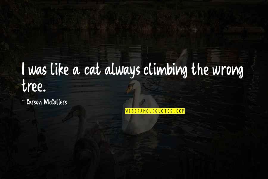 Korczak's Quotes By Carson McCullers: I was like a cat always climbing the