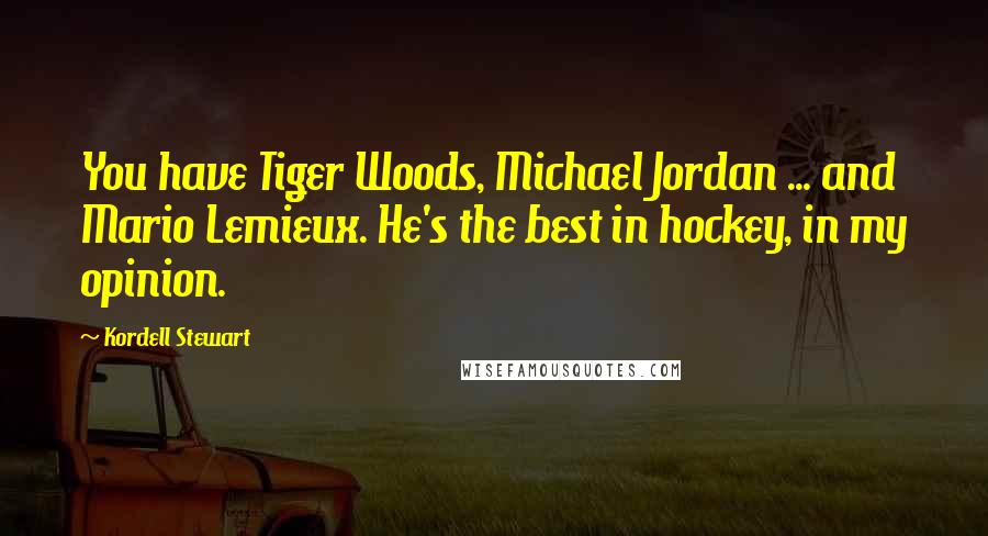 Kordell Stewart quotes: You have Tiger Woods, Michael Jordan ... and Mario Lemieux. He's the best in hockey, in my opinion.