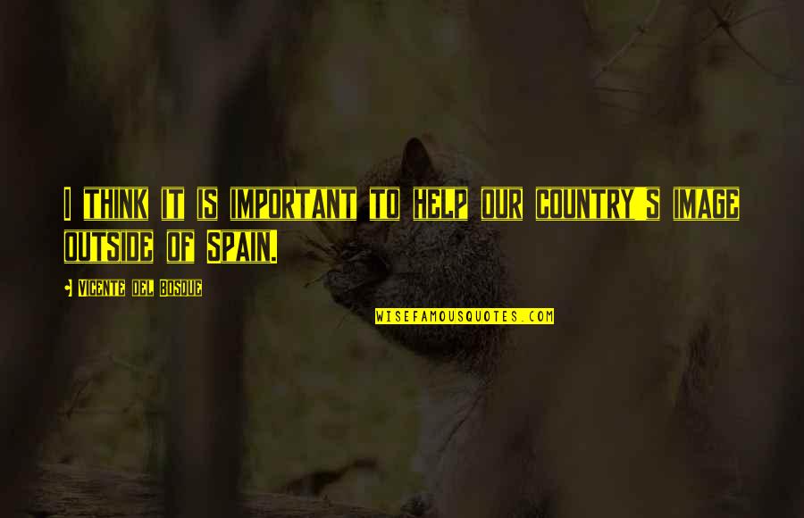 Kordes Rosen Quotes By Vicente Del Bosque: I think it is important to help our Kordes Rosen Quotes By Vicente Del Bosque: I think it is important to help our
