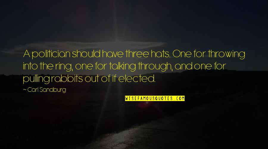 Korotkova Insta Quotes By Carl Sandburg: A politician should have three hats. One for