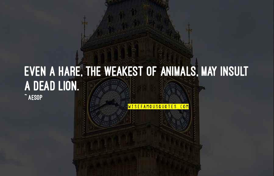 Koryna Gonzalez Quotes By Aesop: Even a hare, the weakest of animals, may