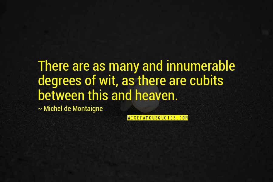 Koscielniak Merrillville Quotes By Michel De Montaigne: There are as many and innumerable degrees of