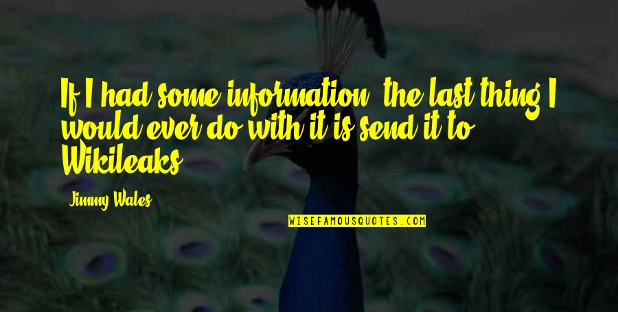 Koselleck Sediments Quotes By Jimmy Wales: If I had some information, the last thing