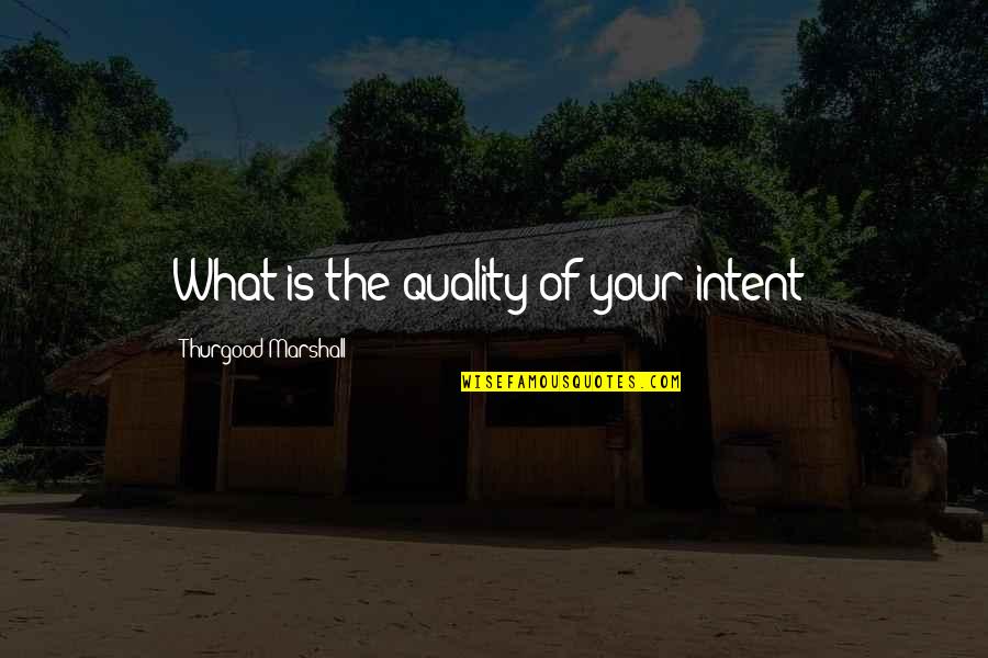 Kosovo Quotes By Thurgood Marshall: What is the quality of your intent?