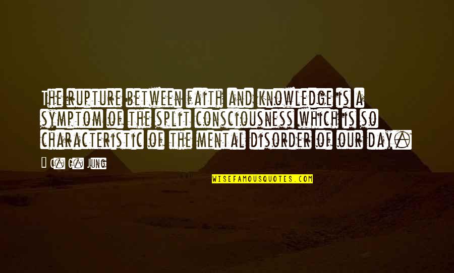 Kostelecky Pivovar Quotes By C. G. Jung: The rupture between faith and knowledge is a