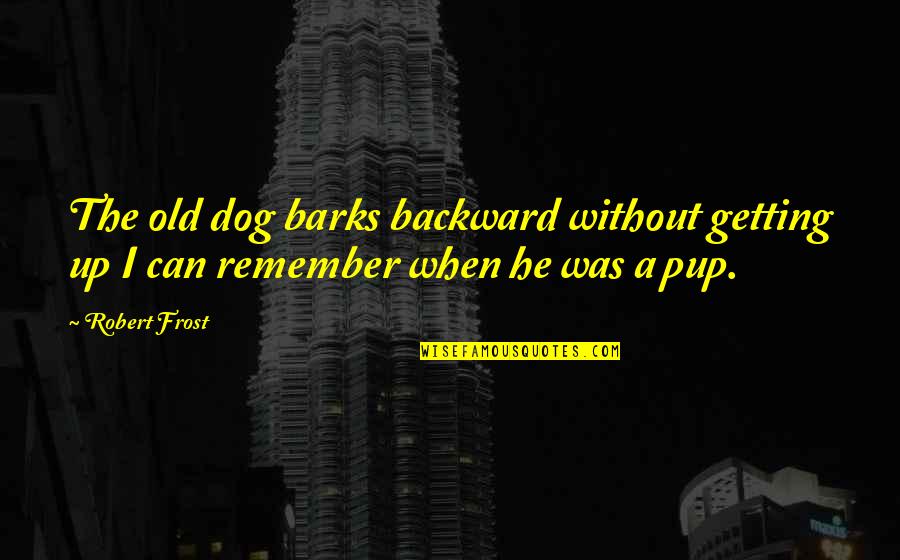 Kotauit Quotes By Robert Frost: The old dog barks backward without getting up