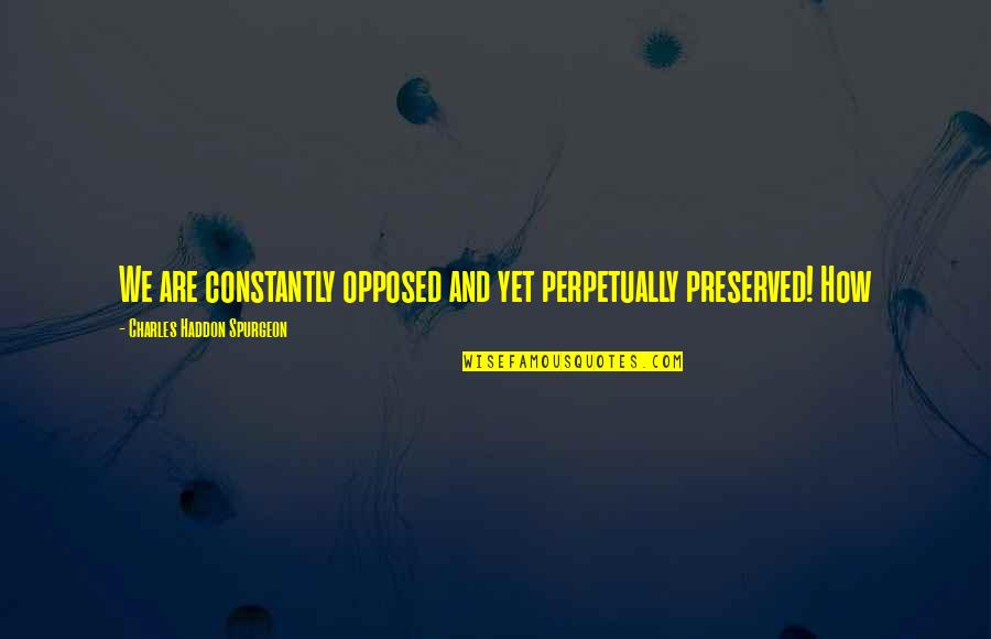 Kotidisigine Quotes By Charles Haddon Spurgeon: We are constantly opposed and yet perpetually preserved!