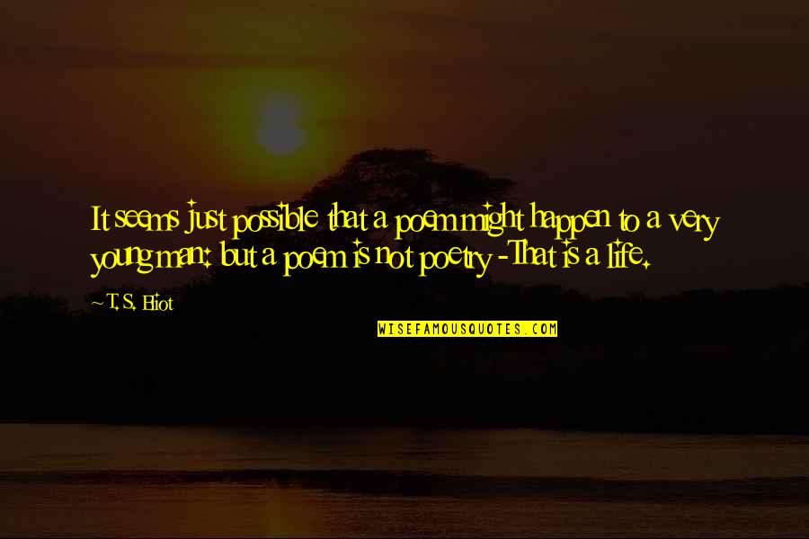 Kotiinkuljetus Quotes By T. S. Eliot: It seems just possible that a poem might