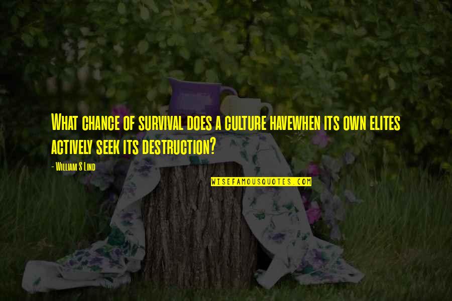 Kotonoha Katsura Quotes By William S Lind: What chance of survival does a culture havewhen Kotonoha Katsura Quotes By William S Lind: What chance of survival does a culture havewhen