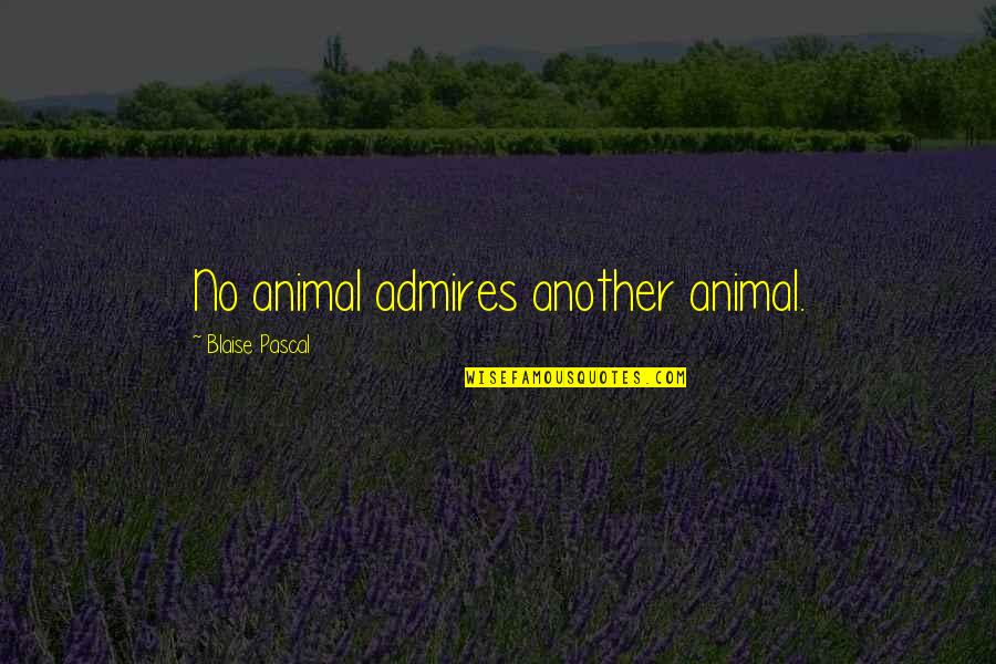Kotor 2 Kreia Quotes By Blaise Pascal: No animal admires another animal. Kotor 2 Kreia Quotes By Blaise Pascal: No animal admires another animal.