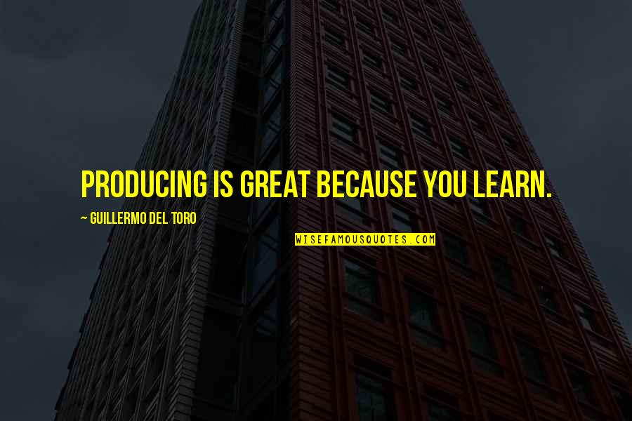 Kotor Kreia Quotes By Guillermo Del Toro: Producing is great because you learn.