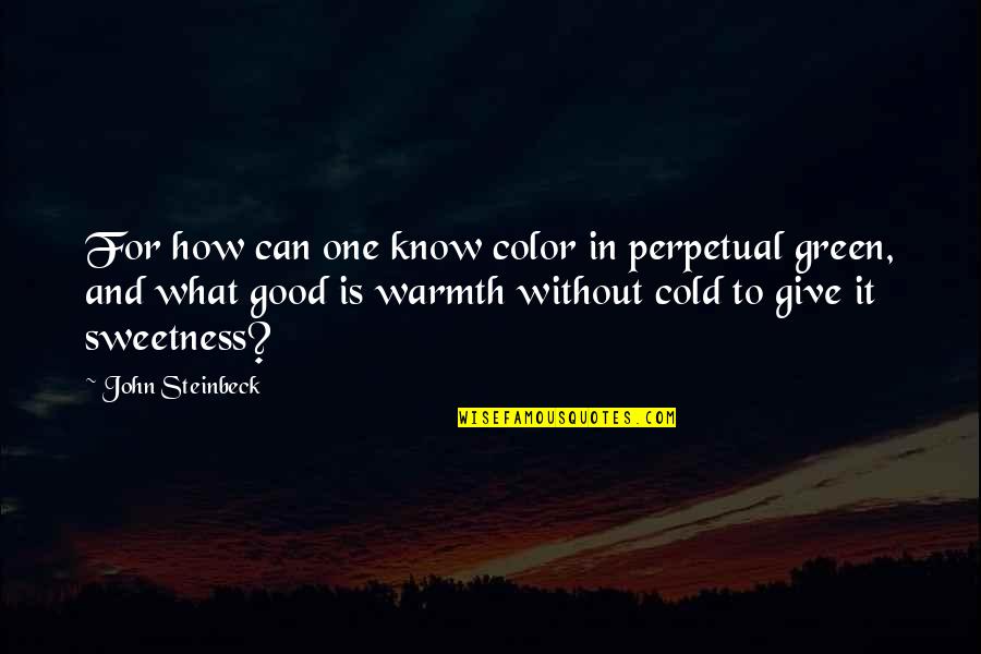 Koturovic's Quotes By John Steinbeck: For how can one know color in perpetual