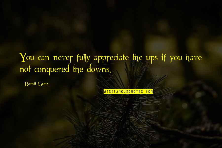 Kouichi Shindou Quotes By Ramit Gupta: You can never fully appreciate the ups if