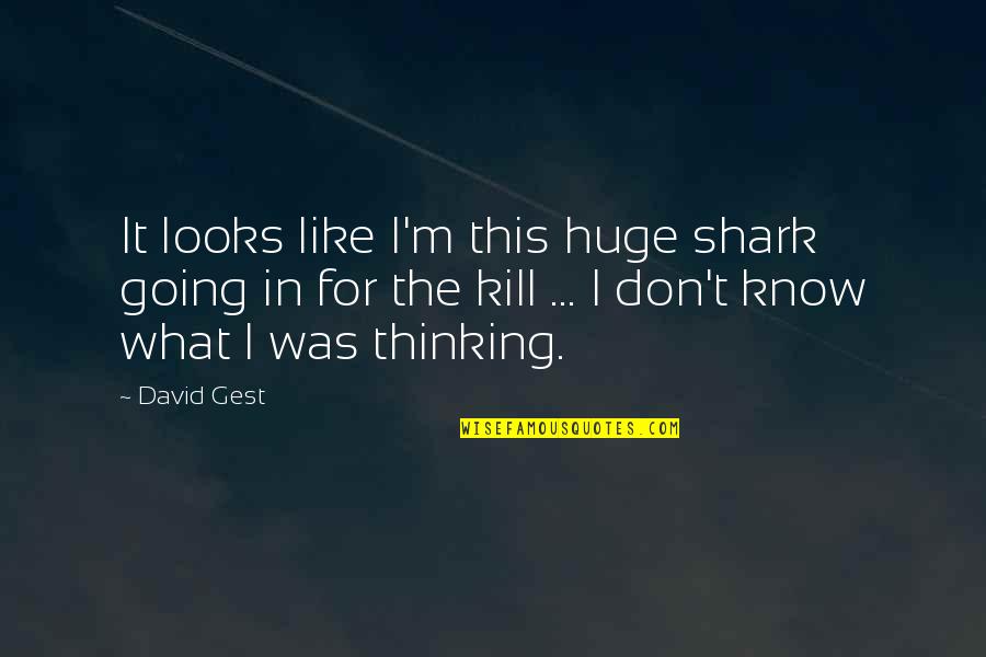 Koukouli Patra Quotes By David Gest: It looks like I'm this huge shark going