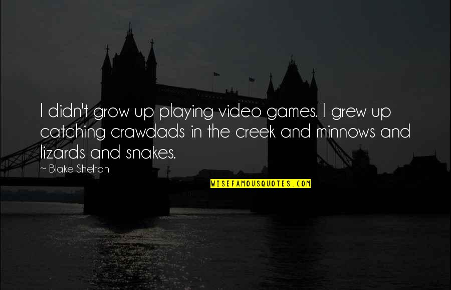 Koumbaros Quotes By Blake Shelton: I didn't grow up playing video games. I Koumbaros Quotes By Blake Shelton: I didn't grow up playing video games. I