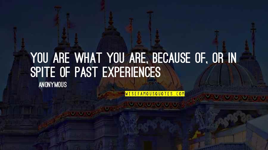 Kouris In Pekin Quotes By Anonymous: You are what you are, because of, or