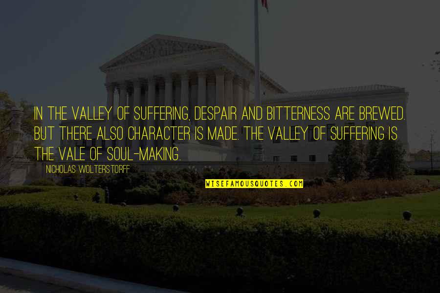 Koutarou Nishiyama Quotes By Nicholas Wolterstorff: In the valley of suffering, despair and bitterness Koutarou Nishiyama Quotes By Nicholas Wolterstorff: In the valley of suffering, despair and bitterness