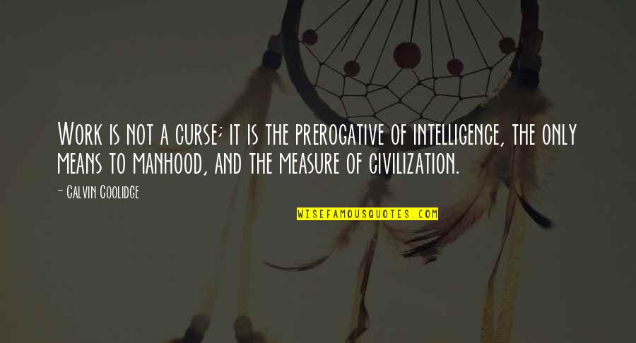 Kovacicek Construction Quotes By Calvin Coolidge: Work is not a curse; it is the