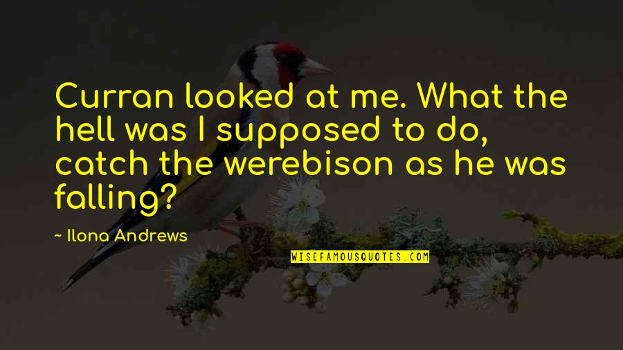 Kovic Drown Quotes By Ilona Andrews: Curran looked at me. What the hell was Kovic Drown Quotes By Ilona Andrews: Curran looked at me. What the hell was