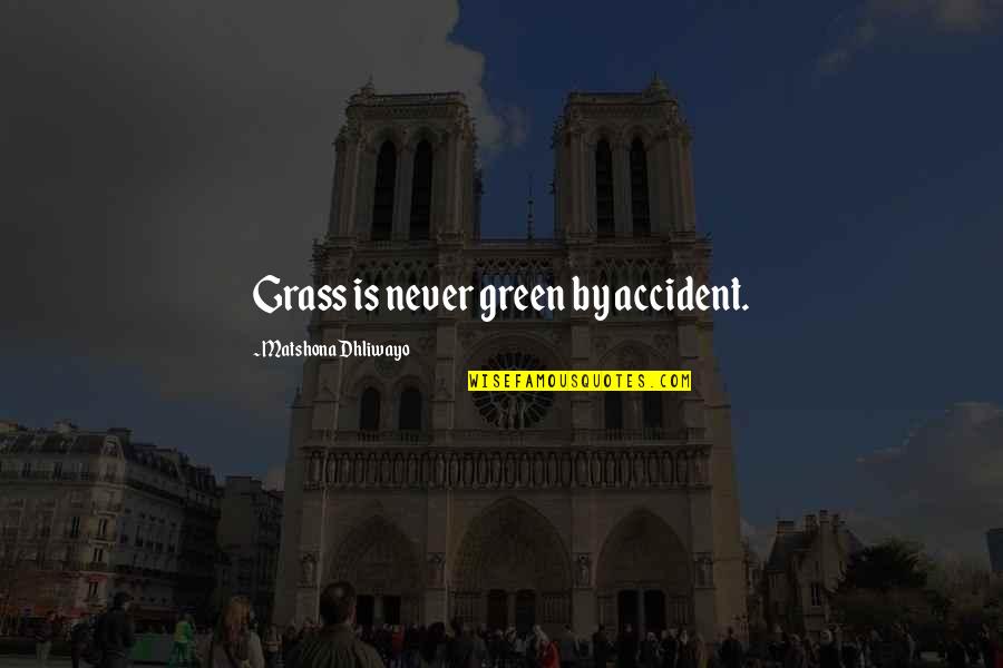 Kovic Drown Quotes By Matshona Dhliwayo: Grass is never green by accident. Kovic Drown Quotes By Matshona Dhliwayo: Grass is never green by accident.