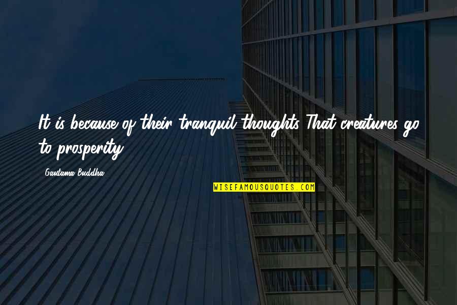 Kovicheck Quotes By Gautama Buddha: It is because of their tranquil thoughts That