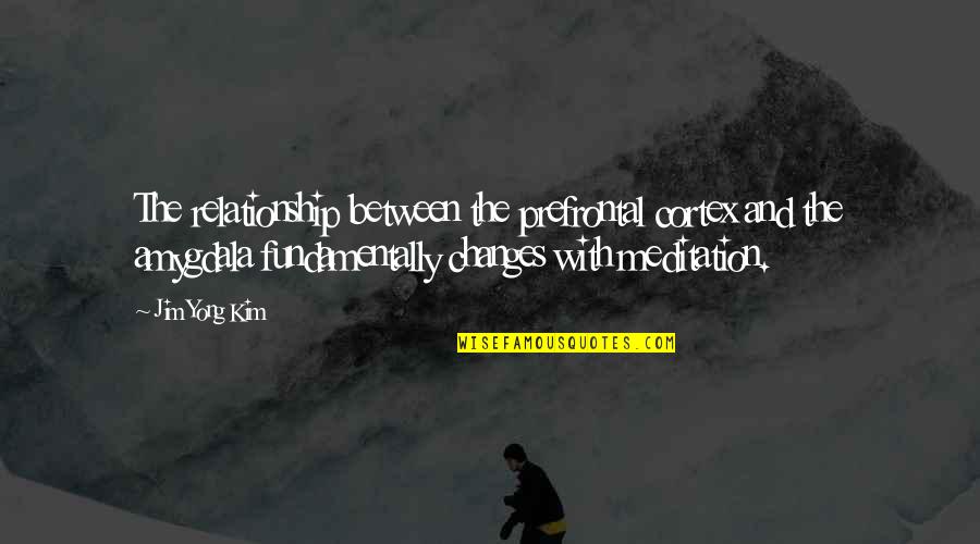 Kownacki Dawid Quotes By Jim Yong Kim: The relationship between the prefrontal cortex and the Kownacki Dawid Quotes By Jim Yong Kim: The relationship between the prefrontal cortex and the