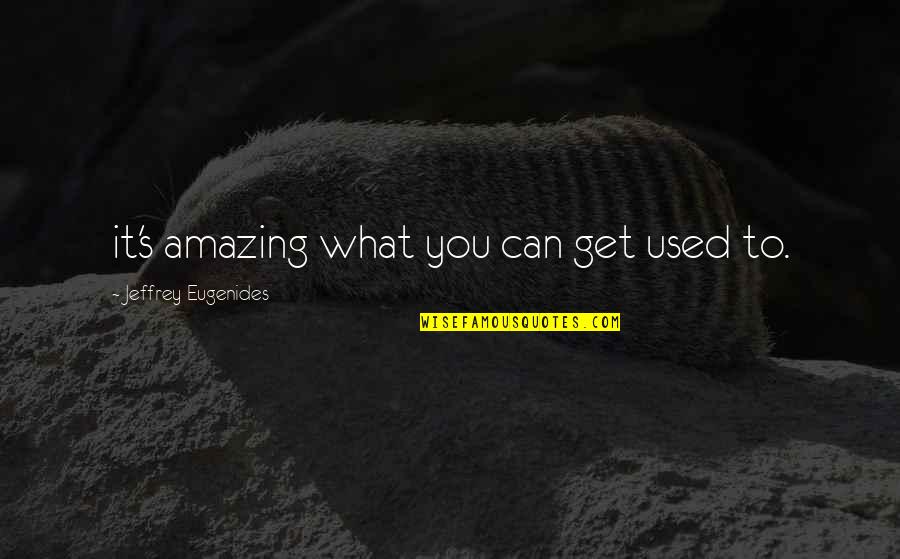 Koyal Bird Quotes By Jeffrey Eugenides: it's amazing what you can get used to.