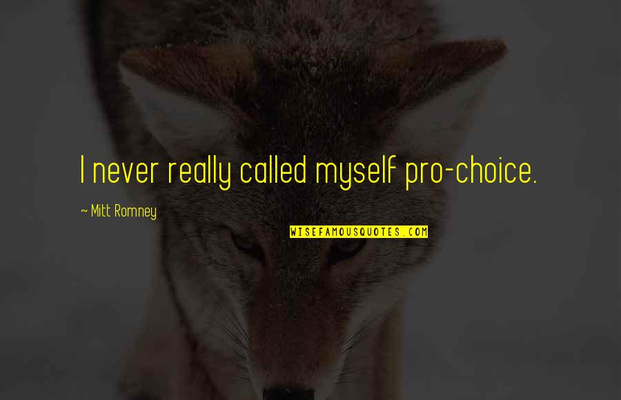 Krajcsi Attila Quotes By Mitt Romney: I never really called myself pro-choice.