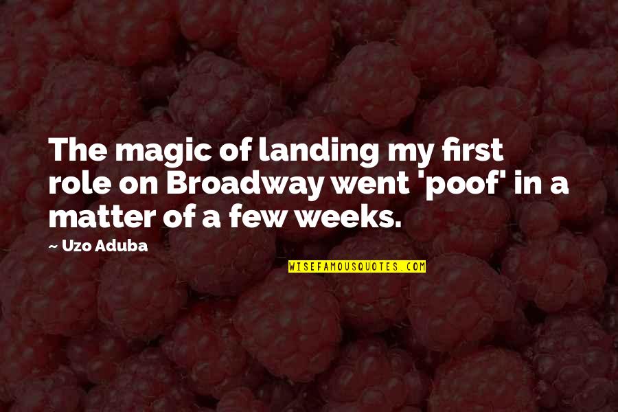 Krakauer Spinet Quotes By Uzo Aduba: The magic of landing my first role on