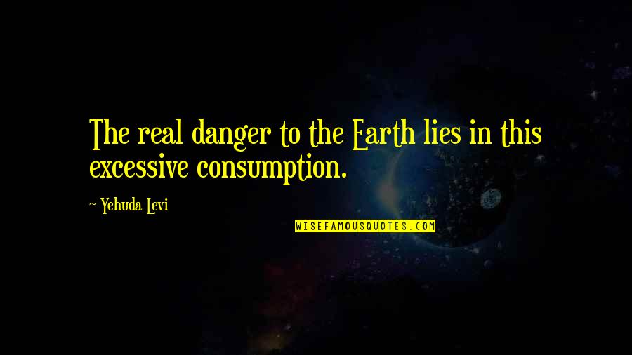 Krapptauer Quotes By Yehuda Levi: The real danger to the Earth lies in