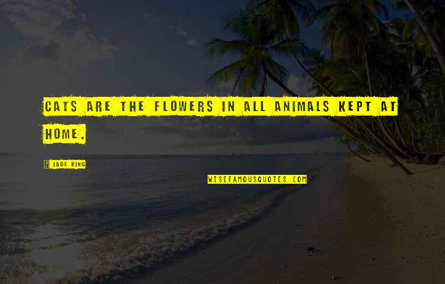 Kraujo Tyrimas Quotes By Jade King: Cats are the flowers in all animals kept