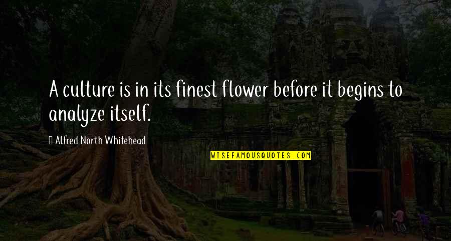 Krautz Quotes By Alfred North Whitehead: A culture is in its finest flower before