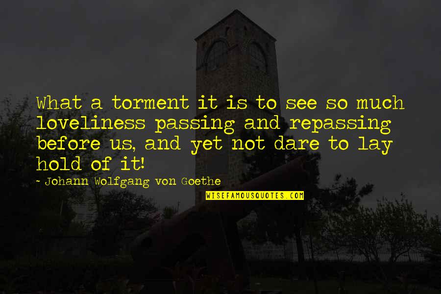 Kravos Quotes By Johann Wolfgang Von Goethe: What a torment it is to see so