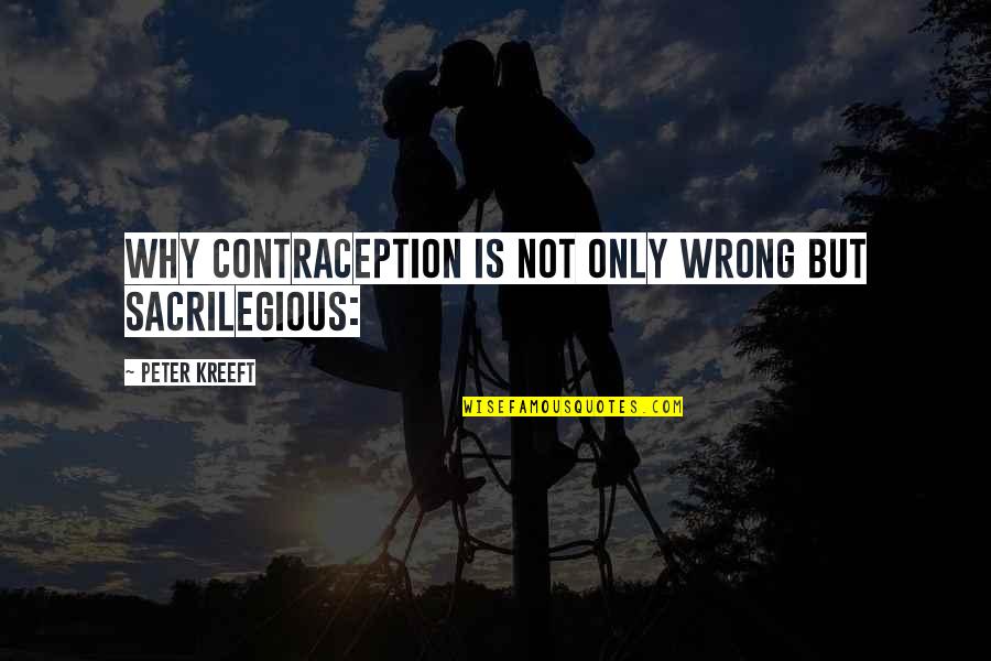Kreeft Peter Quotes By Peter Kreeft: Why contraception is not only wrong but sacrilegious: