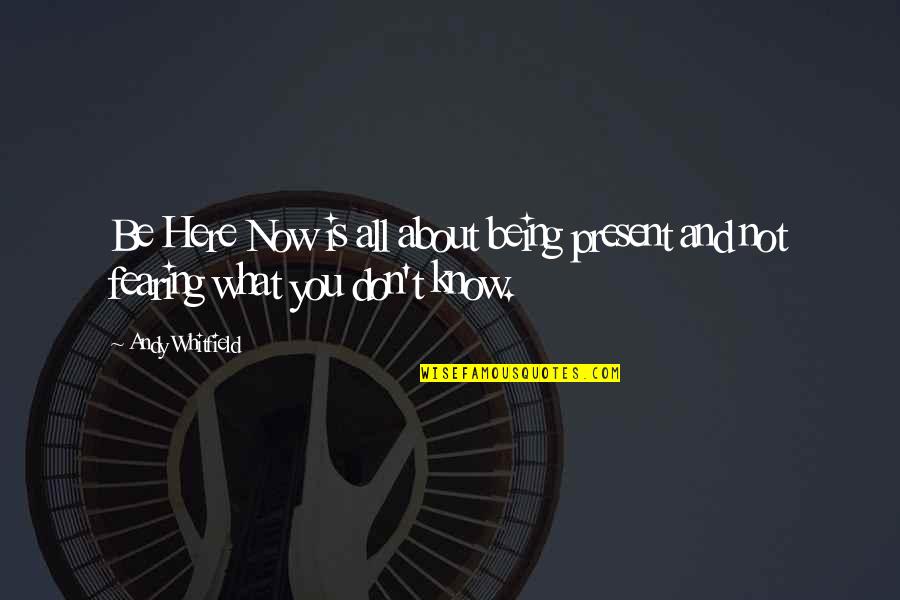 Kreegs Stout Quotes By Andy Whitfield: Be Here Now is all about being present