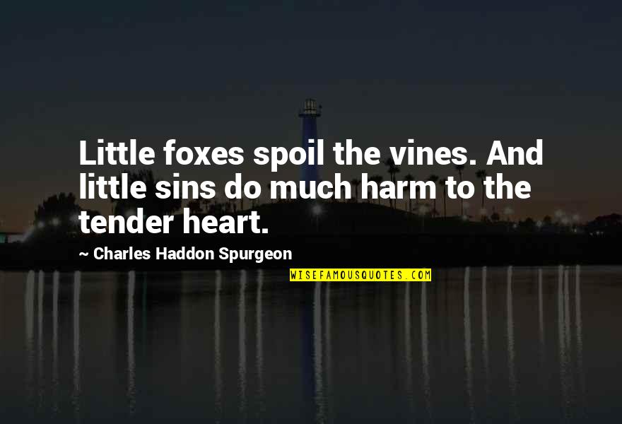 Kreftforeningen Quotes By Charles Haddon Spurgeon: Little foxes spoil the vines. And little sins Kreftforeningen Quotes By Charles Haddon Spurgeon: Little foxes spoil the vines. And little sins