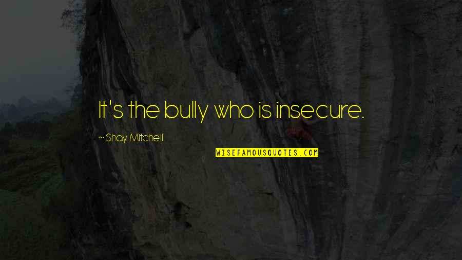 Kreig Quotes By Shay Mitchell: It's the bully who is insecure.