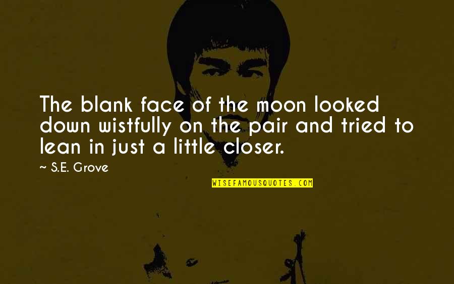 Kreinik 8 Quotes By S.E. Grove: The blank face of the moon looked down Kreinik 8 Quotes By S.E. Grove: The blank face of the moon looked down
