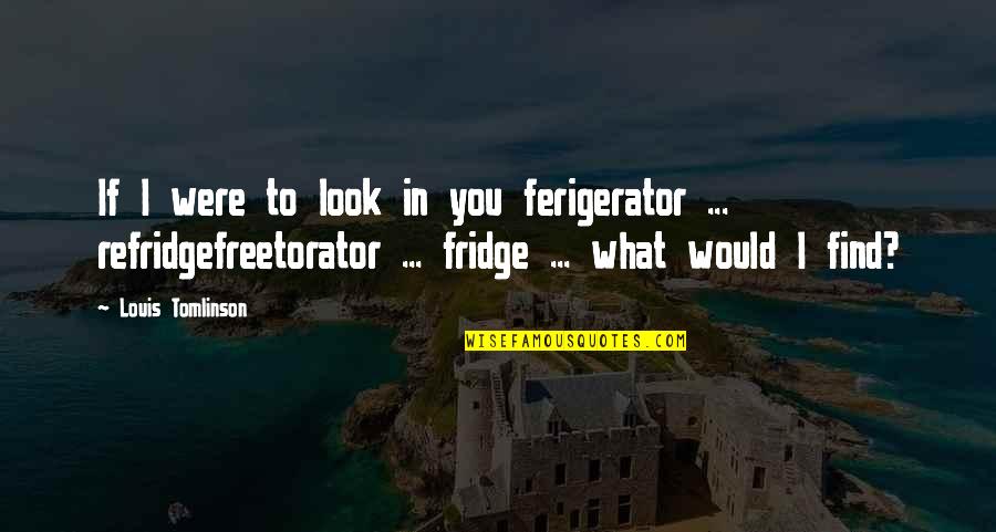 Kreppel Law Quotes By Louis Tomlinson: If I were to look in you ferigerator