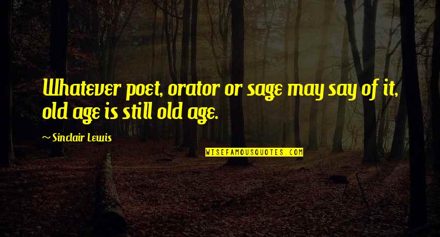 Kretery Quotes By Sinclair Lewis: Whatever poet, orator or sage may say of