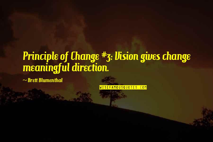 Kricklewood Quotes By Brett Blumenthal: Principle of Change #3: Vision gives change meaningful