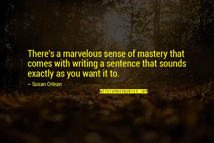Kriesel Md Quotes By Susan Orlean: There's a marvelous sense of mastery that comes Kriesel Md Quotes By Susan Orlean: There's a marvelous sense of mastery that comes