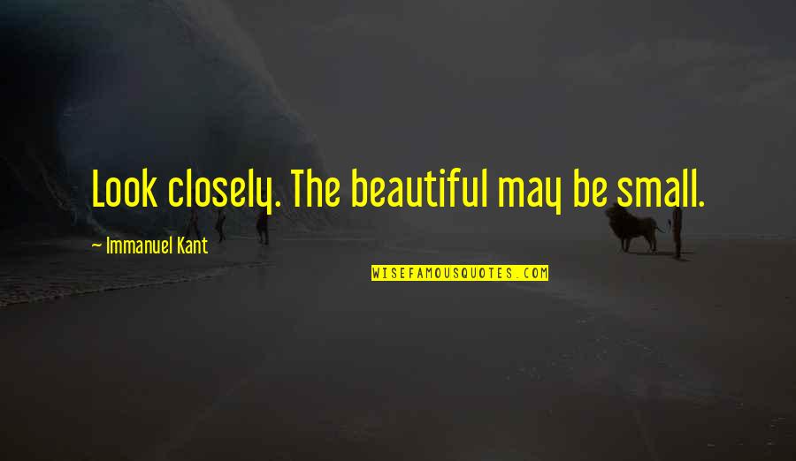 Kriisa Research Quotes By Immanuel Kant: Look closely. The beautiful may be small.