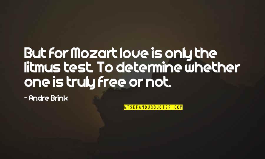 Krimen In English Quotes By Andre Brink: But for Mozart love is only the litmus Krimen In English Quotes By Andre Brink: But for Mozart love is only the litmus