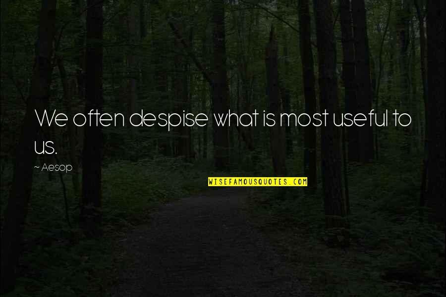 Krishansh Llc Quotes By Aesop: We often despise what is most useful to