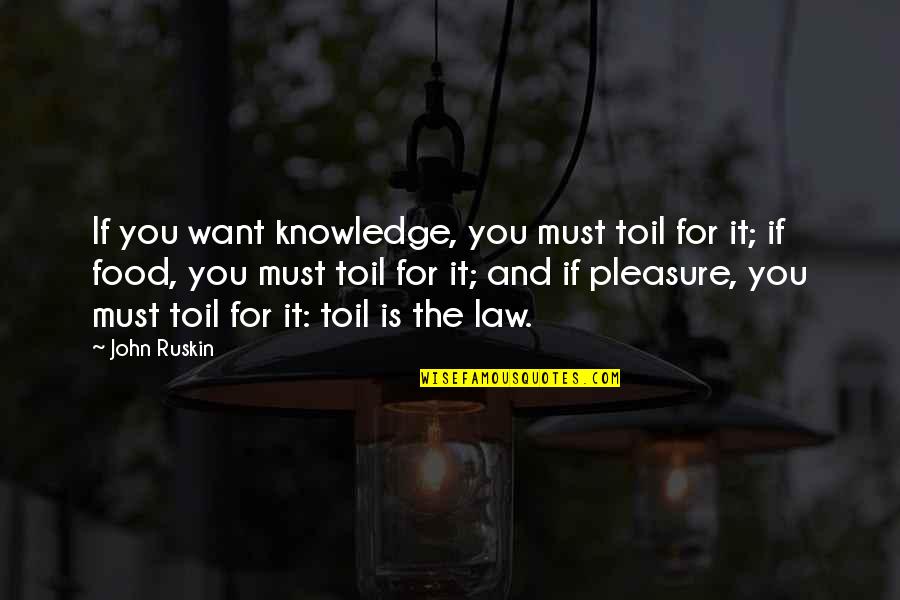 Krishna Jayanthi Quotes By John Ruskin: If you want knowledge, you must toil for