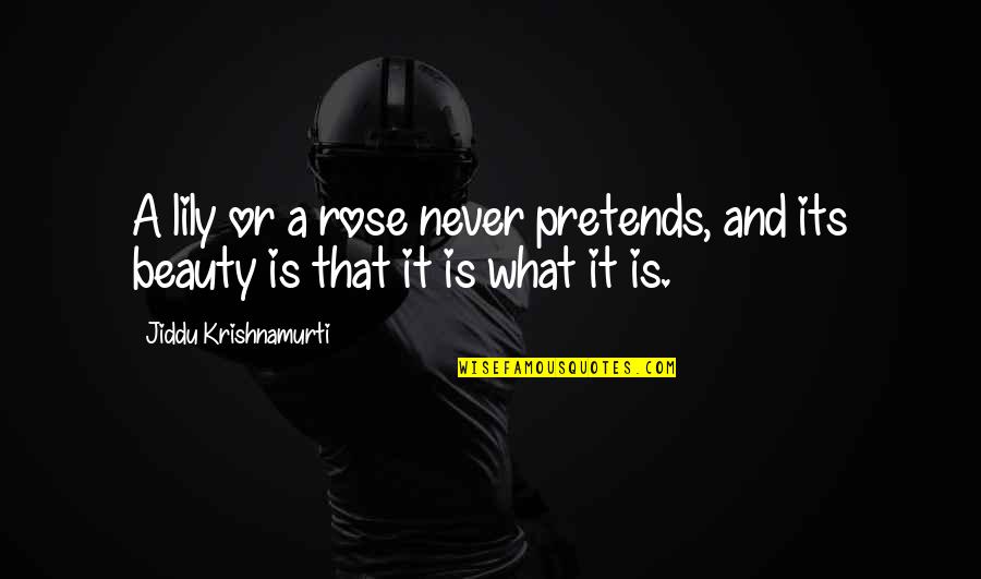 Krishnamurti Quotes By Jiddu Krishnamurti: A lily or a rose never pretends, and Krishnamurti Quotes By Jiddu Krishnamurti: A lily or a rose never pretends, and