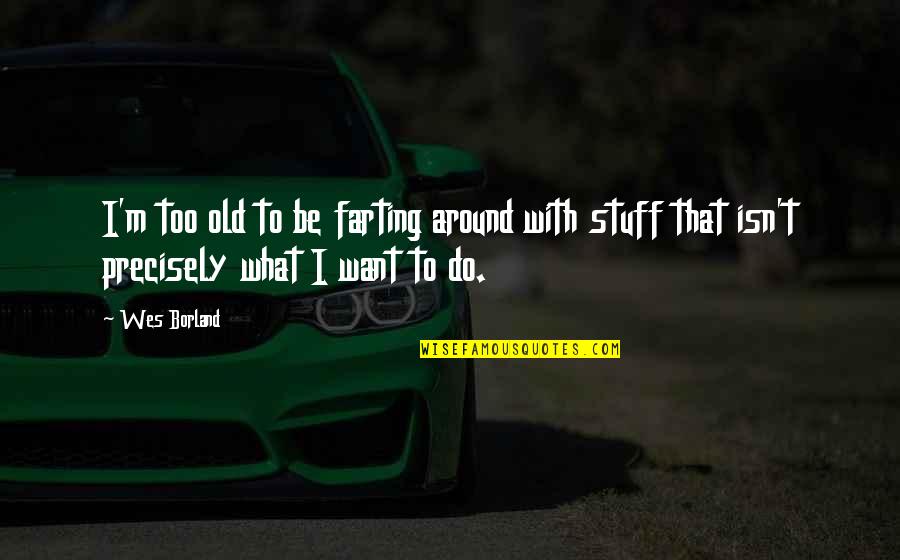 Krishnappa Nayak Quotes By Wes Borland: I'm too old to be farting around with