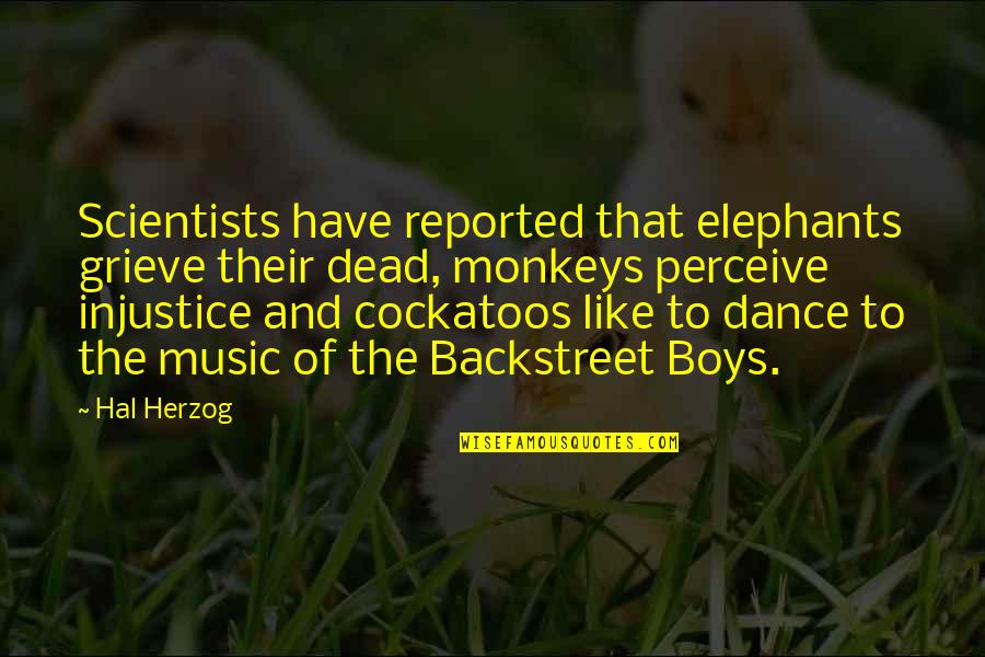 Krissi Quotes By Hal Herzog: Scientists have reported that elephants grieve their dead,